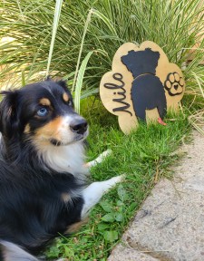 Photograph of multi-layered wooden sign that is in the shape of a paw print and has three hooks for holding leashes and other accessories.
