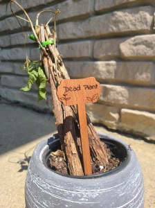 Funny wooden plant stake that reads "Dead plant."